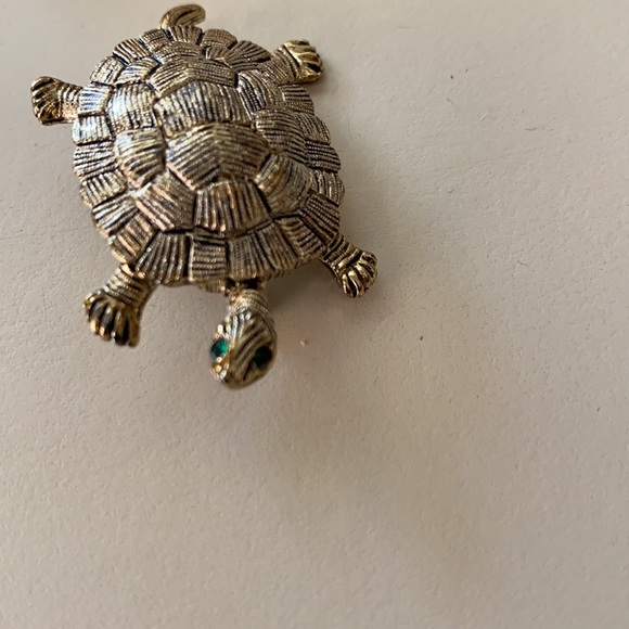 Silver turtle with green eyes. - Picture 4 of 5